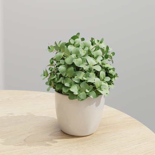 mint-plant-in-white-ceramic-pot-indoor-plants-models-blendkit