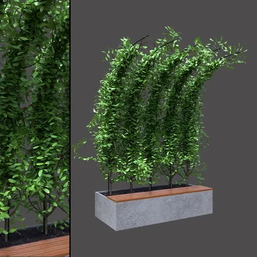 Green Topiary Planter