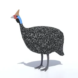 Low Poly Helmeted Guineafowl