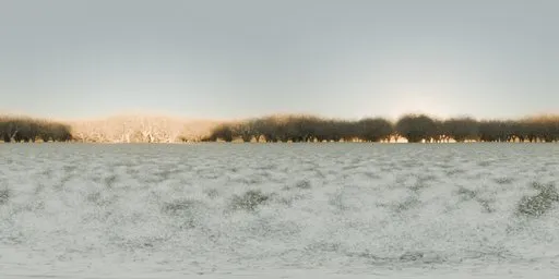 Tranquil snowy field with gravestones and snow-covered trees under an overcast sky for HDR lighting.