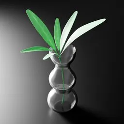 Potted Plant in Glass Vase