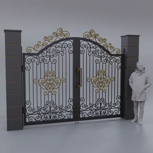 Luxury Ornamental Iron Gate