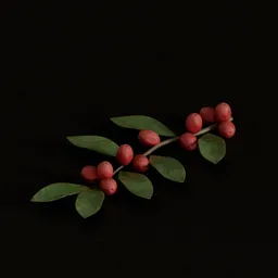Stylized coffee branch