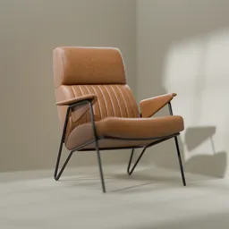 Elegant Modern Armchair