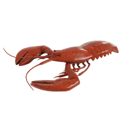 "High quality 3D model of a red Lobster for Blender 3D, featuring ultra-realistic textures and stylized shading. Perfect for food related scenes and projects. One claw is visibly raised while the Lobster sits on a black surface."