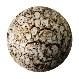 BarkTree PBR texture for 3D modeling, seamless detailed wood material, ideal for Blender and other 3D applications.