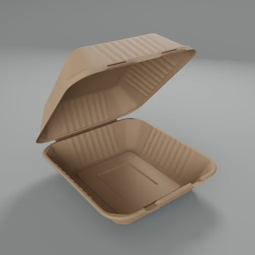 Bagasse Food Box
