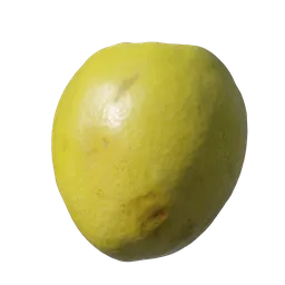 Ziziphus mauritiana