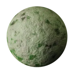 Mossy Damaged Wall Plaster