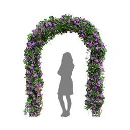 Climbing Roses Garden Bow Purple