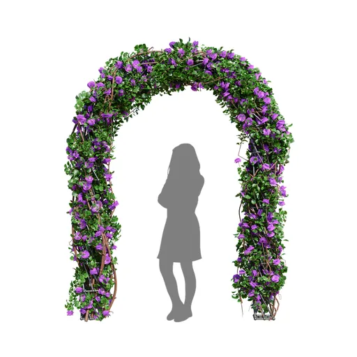 Climbing Roses Garden Bow Purple