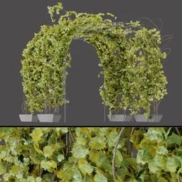 Metal Frame Plant Arch