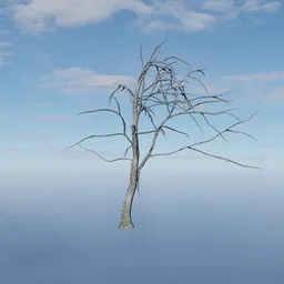 Small Tree Twig 2