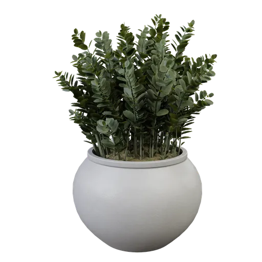 Plant indoor B