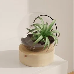 Glass Bowl Plant Terrarium