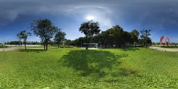 Sunlight and green grass