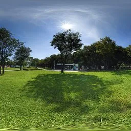 Sunlight and green grass