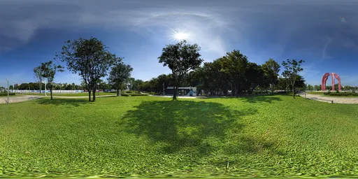 Sunlight and green grass