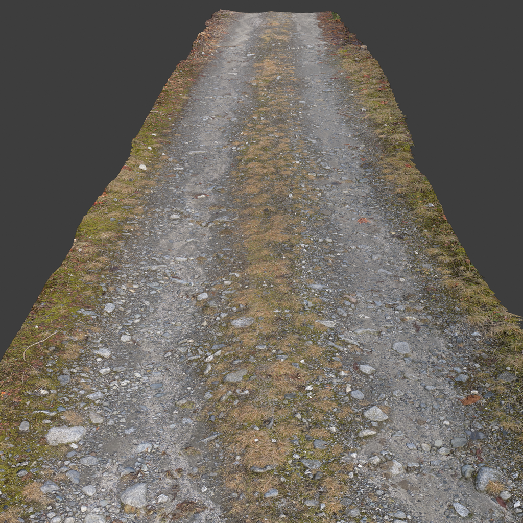 Rural Path Photoscan | Environment Elements models | BlenderKit