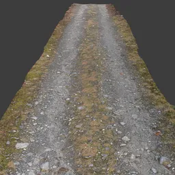 Rural Path Photoscan