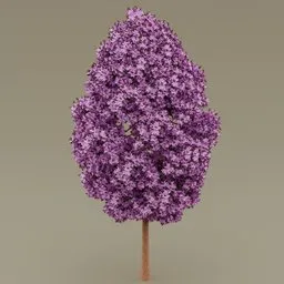 Pink flowered-dark red leaved tree