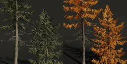 Detailed 3D model of European Larch in green and autumn colors, customizable for Blender.