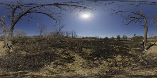 Partial Eclipse