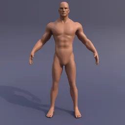 Male Anatomy Base Mesh