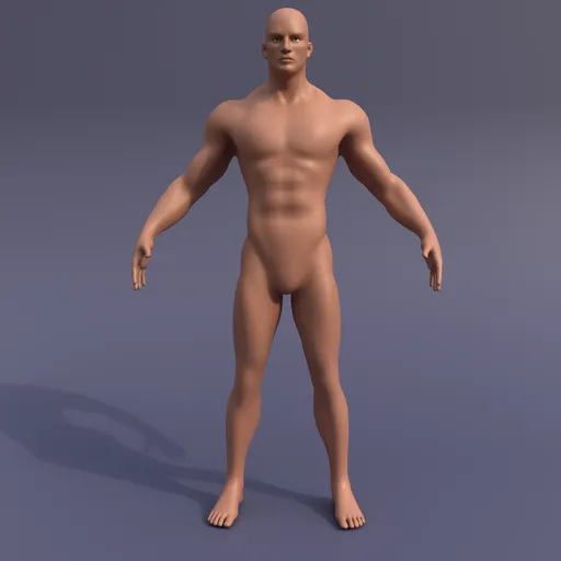 Male Anatomy Base Mesh
