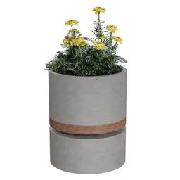 Round Concrete Planter
