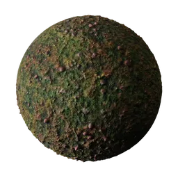 4K PBR ground material featuring mud, weeds, and mushrooms for Blender 3D, easily customizable, with minimal repetition.