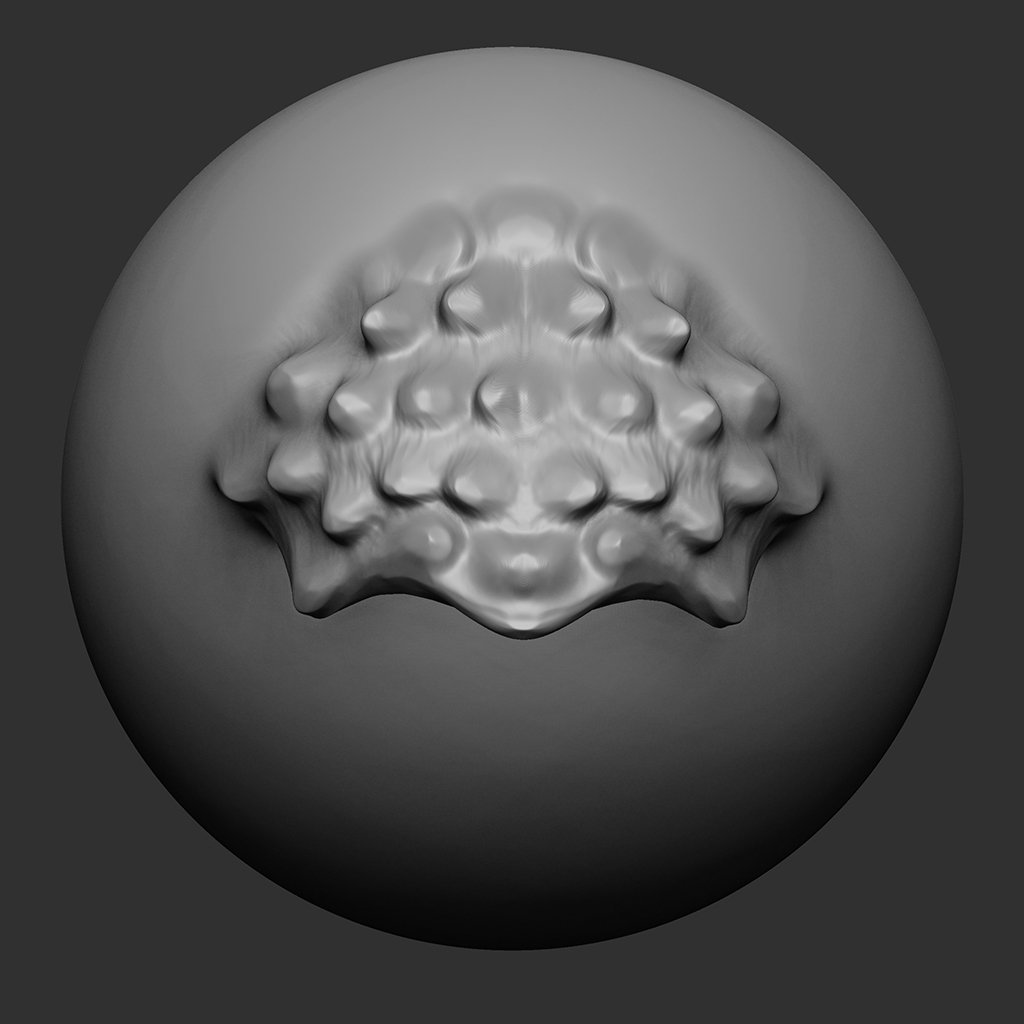 NS Scale14 3D animal brushes BlenderKit