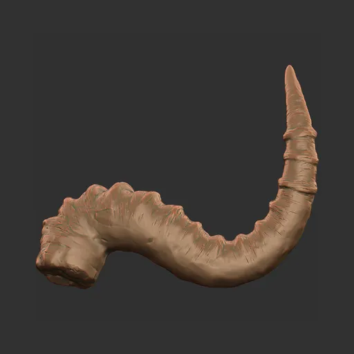 Spined Serpent Horn