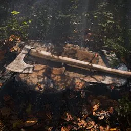 Forest Axe Resting Scene