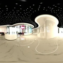 Black Ceiling Streamlined  Exhibition Hall