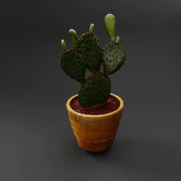 Potted Cactus
