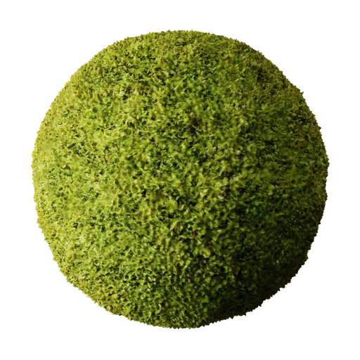 Moss