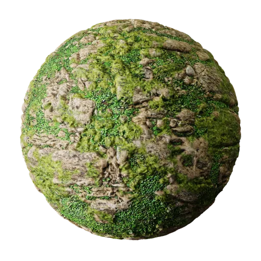 Rock with Moss