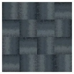 CE200 Perceive-Identify Carpet Tiles