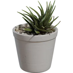 Potted Plant 04
