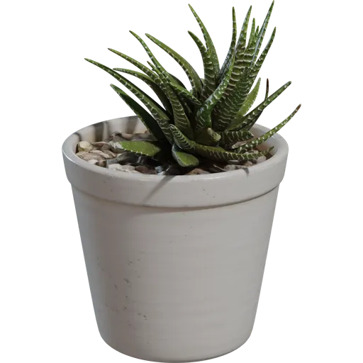 Potted Plant 04