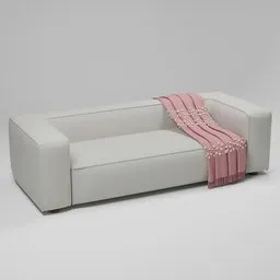 Throw Blanket and Sofa