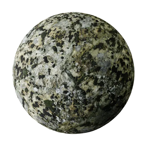 Rock moss