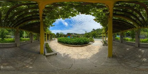Shady areas during the day