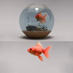 Realistic Aquarium Goldfish
