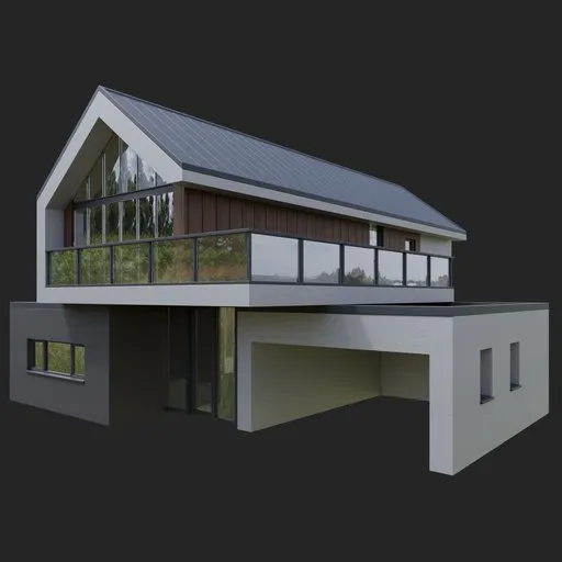 Modern Wooden House