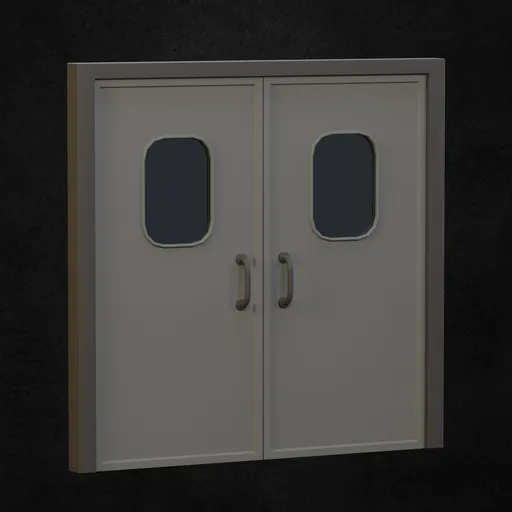 Hospital Door