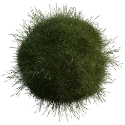 High-quality realistic Blender 3D grass model, ideal for natural landscape rendering and virtual environments.