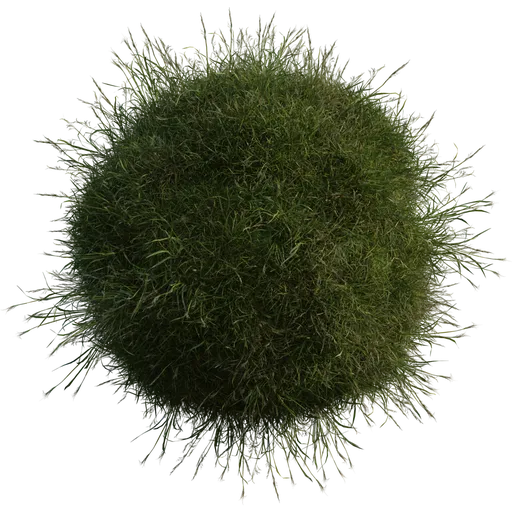 Grass Medium 01