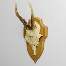 "Skull 01 - A finely detailed and realistic anime-style deer skull mounted on a wooden plaque. This 3D model, created in Blender 3D, is perfect for artists looking to add hunting trophies or RPG items to their projects. Remeshed from a 3D scan, it captures the beauty and intricacy of the original object."